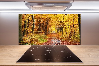 Kitchen splashback Forest in autumn