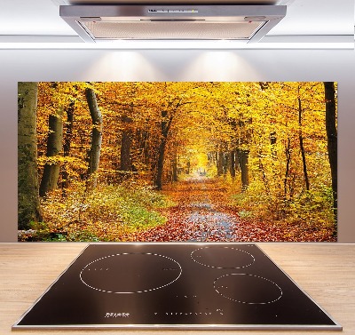 Kitchen splashback Forest in autumn