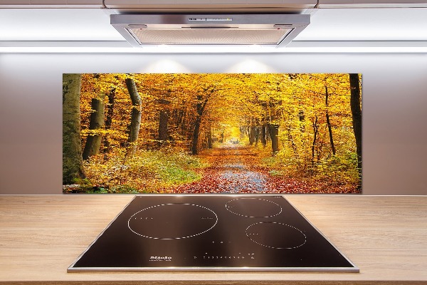 Kitchen splashback Forest in autumn