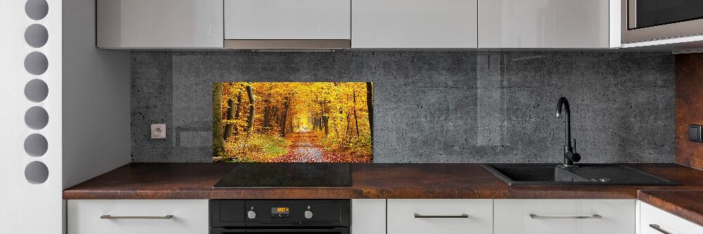 Kitchen splashback Forest in autumn