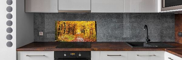 Kitchen splashback Forest in autumn