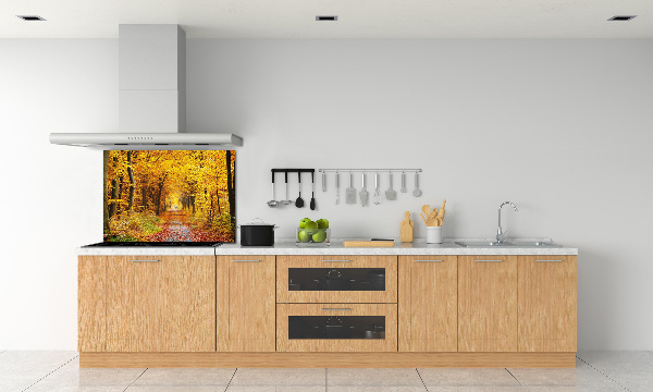 Kitchen splashback Forest in autumn