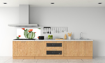 Cooker splashback Cacti