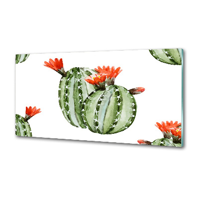 Cooker splashback Cacti