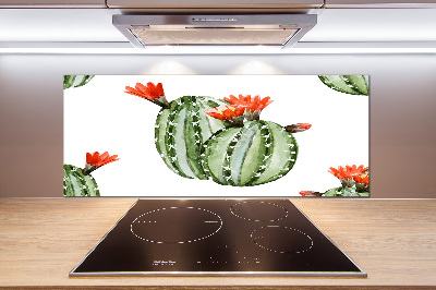 Cooker splashback Cacti