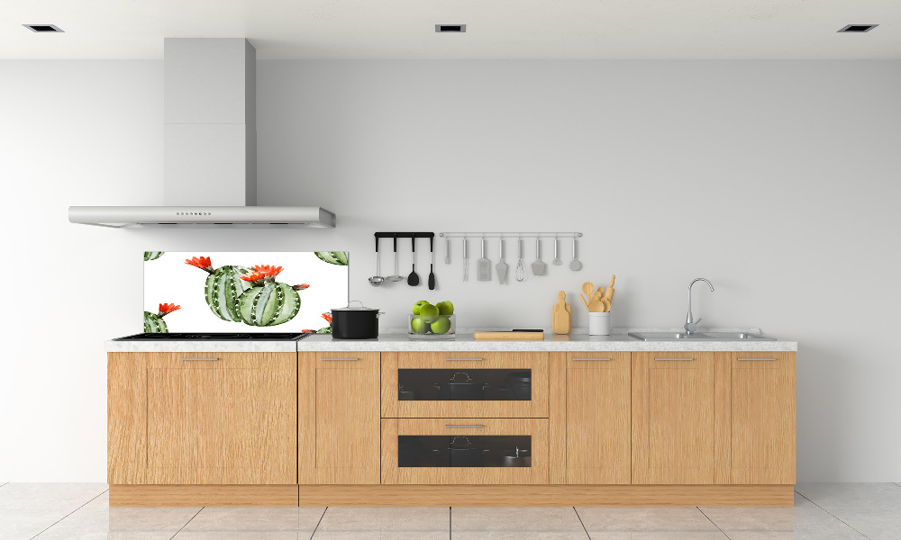 Cooker splashback Cacti