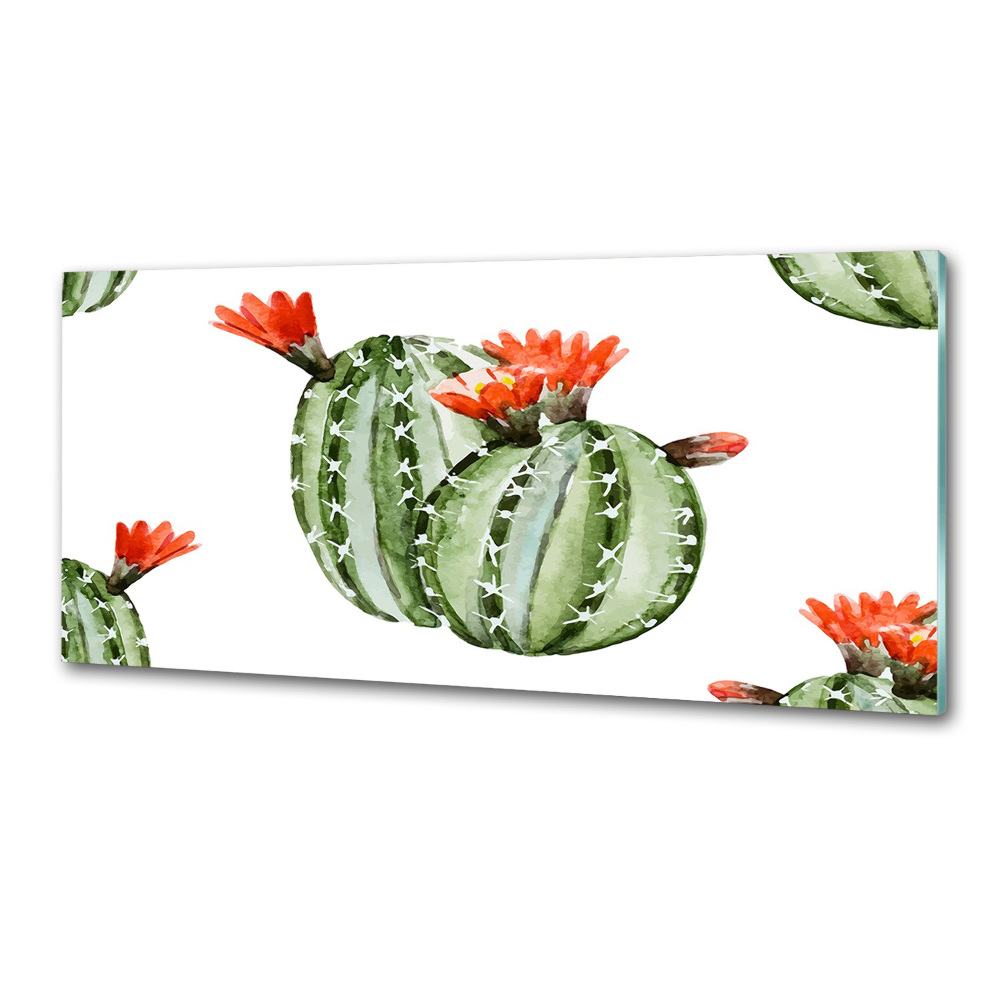 Cooker splashback Cacti