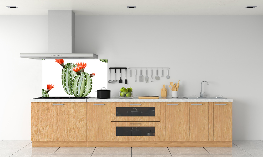 Cooker splashback Cacti