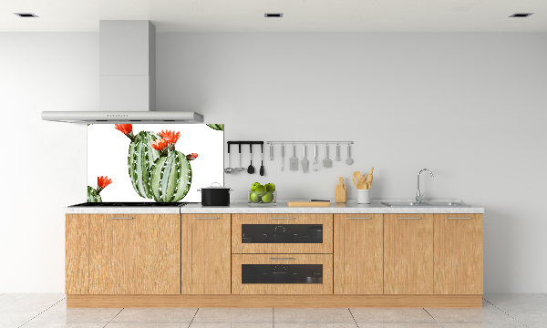 Cooker splashback Cacti