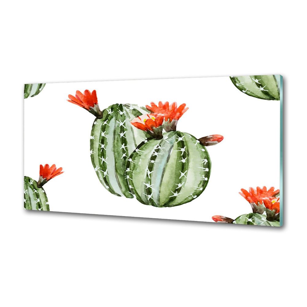 Cooker splashback Cacti