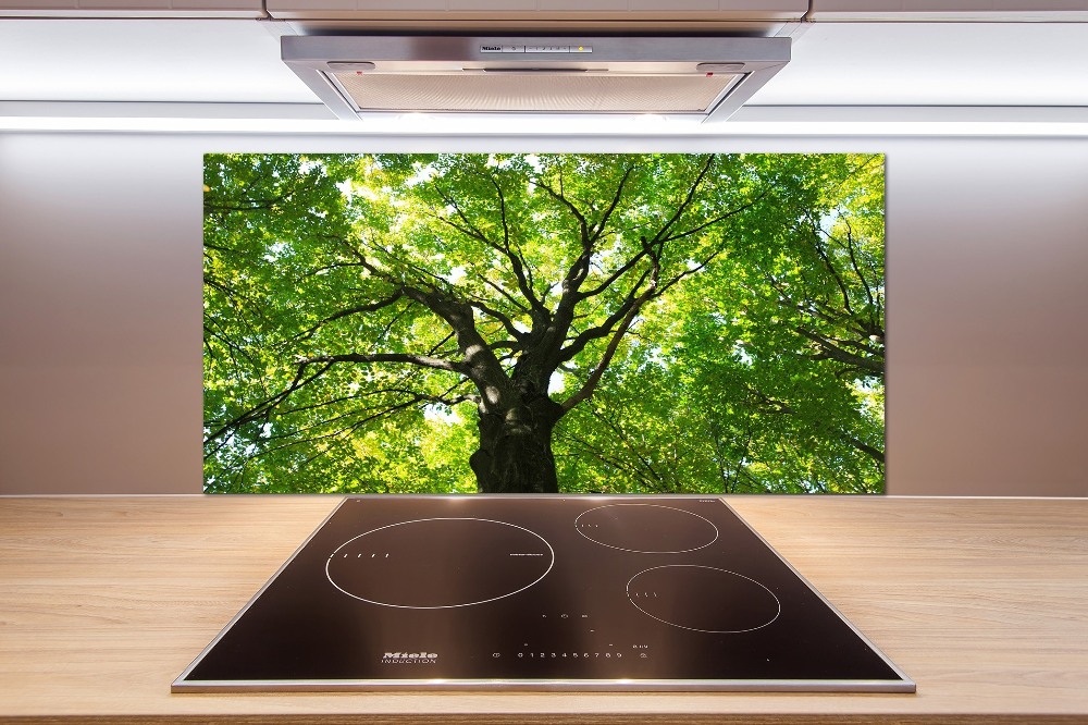 Cooker splashback Green Forest