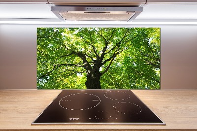 Cooker splashback Green Forest