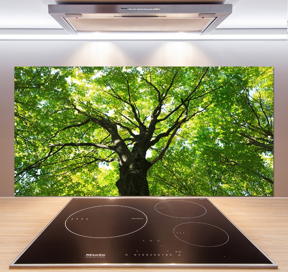 Cooker splashback Green Forest