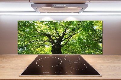 Cooker splashback Green Forest