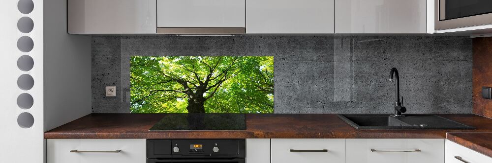 Cooker splashback Green Forest