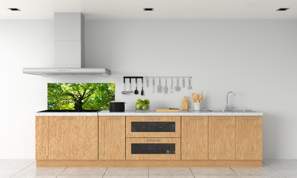 Cooker splashback Green Forest