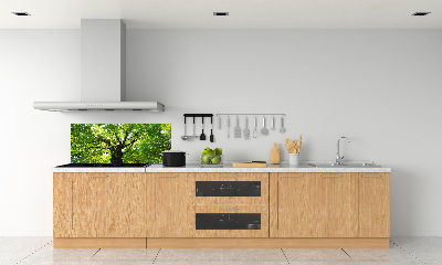 Cooker splashback Green Forest