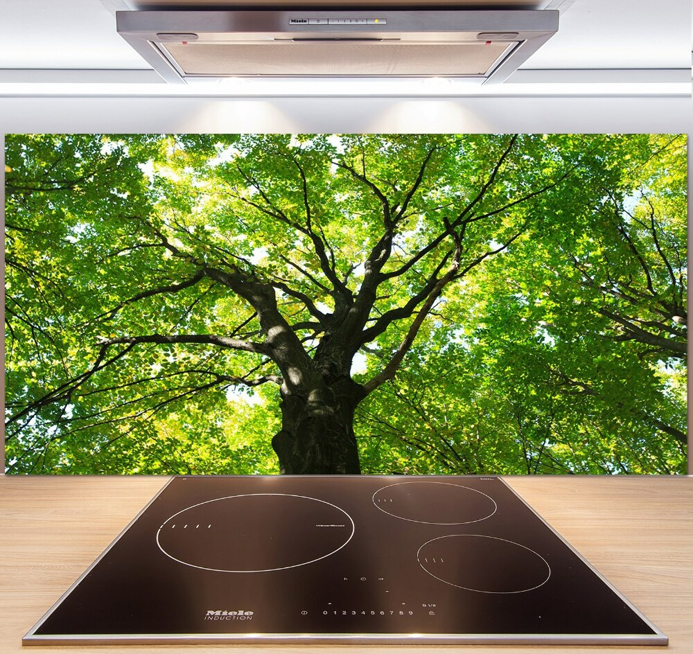 Cooker splashback Green Forest