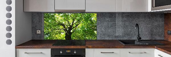 Cooker splashback Green Forest