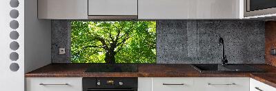 Cooker splashback Green Forest