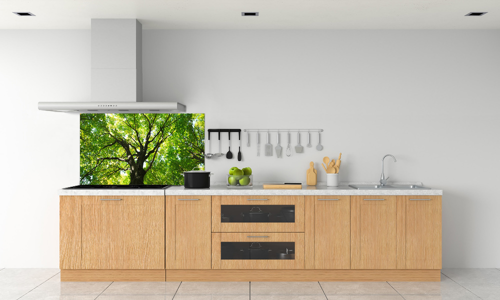 Cooker splashback Green Forest