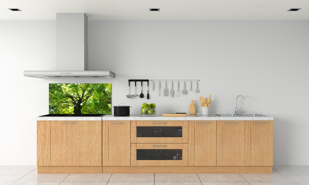 Cooker splashback Green Forest