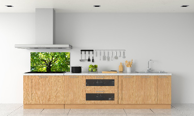 Cooker splashback Green Forest