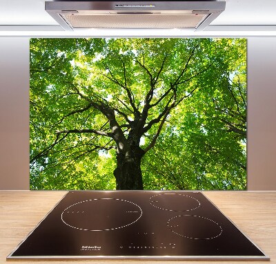 Cooker splashback Green Forest