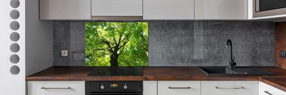 Cooker splashback Green Forest