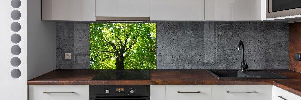 Cooker splashback Green Forest