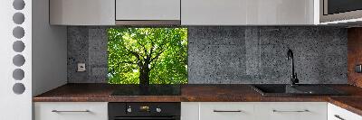 Cooker splashback Green Forest