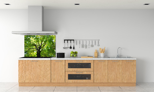 Cooker splashback Green Forest