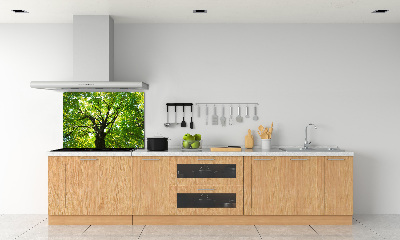 Cooker splashback Green Forest