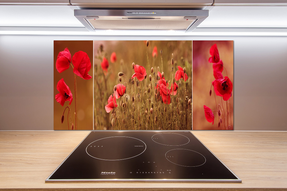 Cooker splashback Triptych Maki