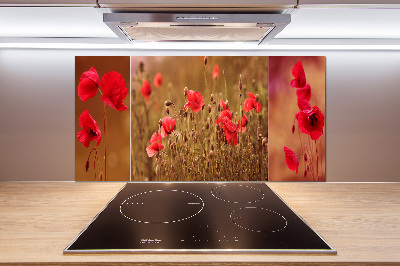 Cooker splashback Triptych Maki