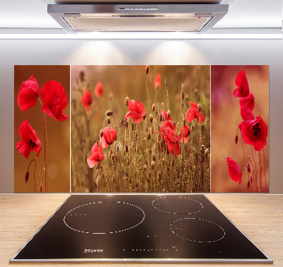 Cooker splashback Triptych Maki