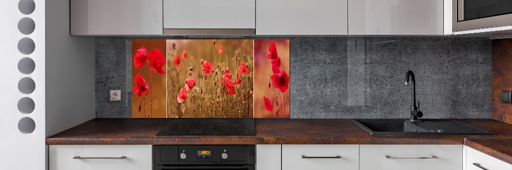 Cooker splashback Triptych Maki