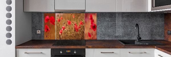 Cooker splashback Triptych Maki