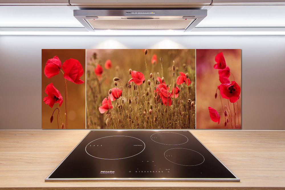 Cooker splashback Triptych Maki