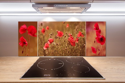 Cooker splashback Triptych Maki