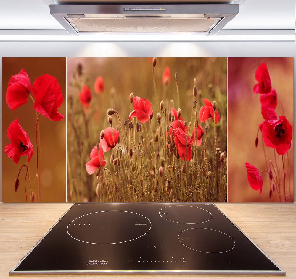 Cooker splashback Triptych Maki