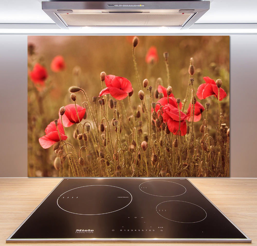 Cooker splashback Triptych Maki