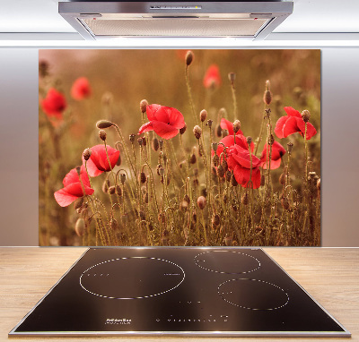 Cooker splashback Triptych Maki