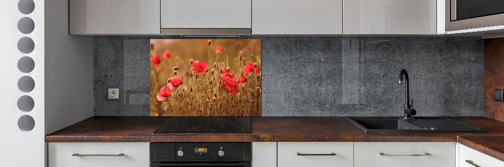 Cooker splashback Triptych Maki