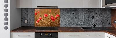 Cooker splashback Triptych Maki