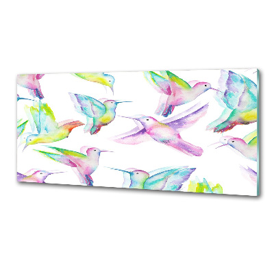 Kitchen splashback Hummingbird