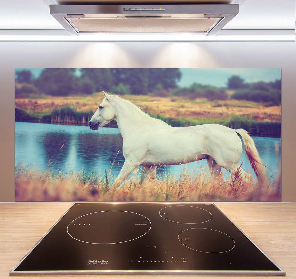 Splashback panel for kitchen White horse lake