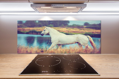 Splashback panel for kitchen White horse lake