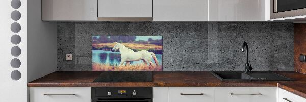 Splashback panel for kitchen White horse lake