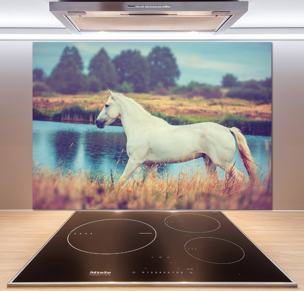 Splashback panel for kitchen White horse lake